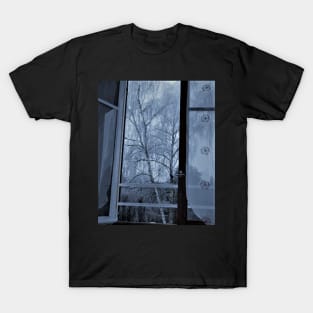 Window - Nature and landscape T-Shirt